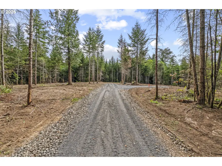 217 Durins Pl, Castle Rock, WA 98611 - #3