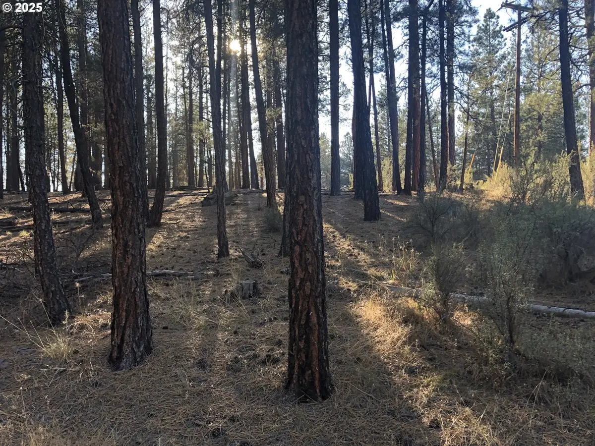 32555 Magpie Rd #6, Chiloquin, OR 97624 - #1