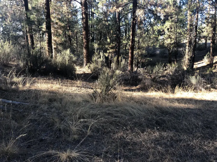 32555 Magpie Rd #6, Chiloquin, OR 97624 - #2