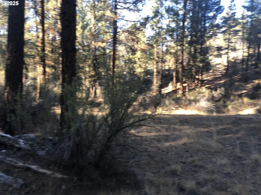 32555 Magpie Rd #6, Chiloquin, OR 97624 - #3