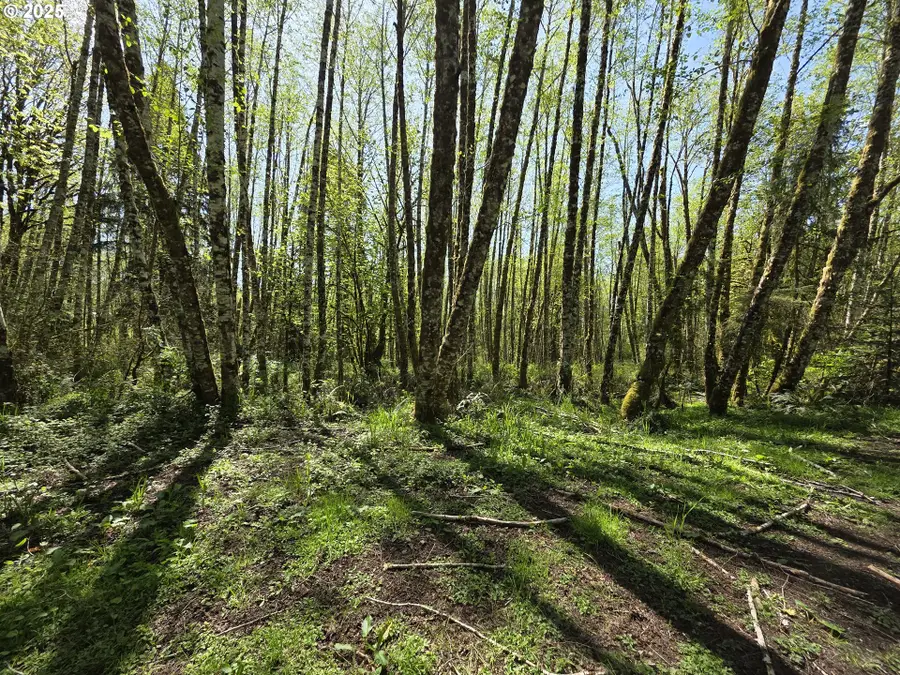 Mill Falls Ln, Longview, WA 98632 - Image #2