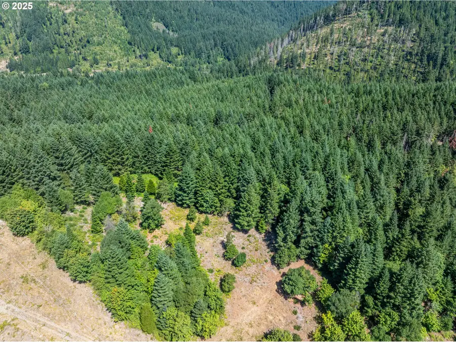 0 2nd St, Oakridge, OR 97463 - Image #3