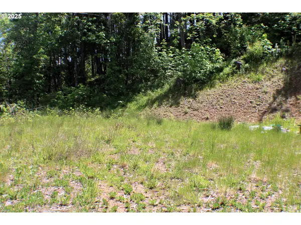 1482 Canyonville Riddle Rd, Riddle, OR 97469