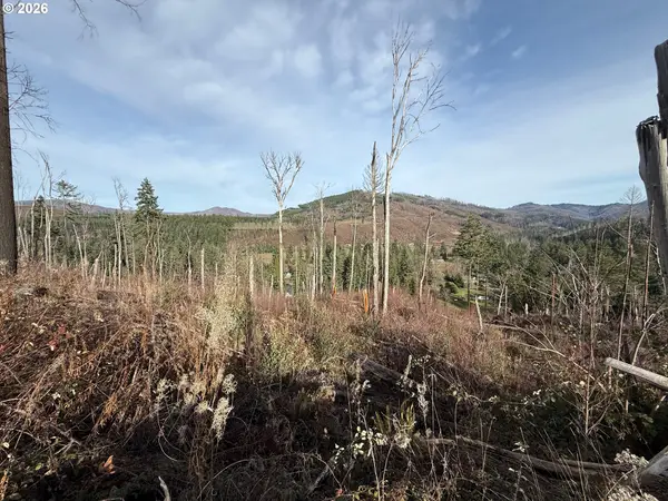 Cascade View #1, Vida, OR 97488