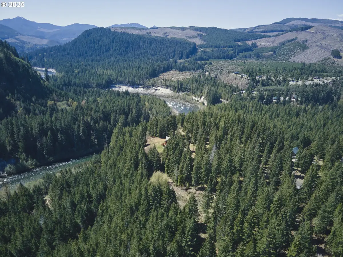 1 Loowit Ln, Cougar, WA 98616 - #1