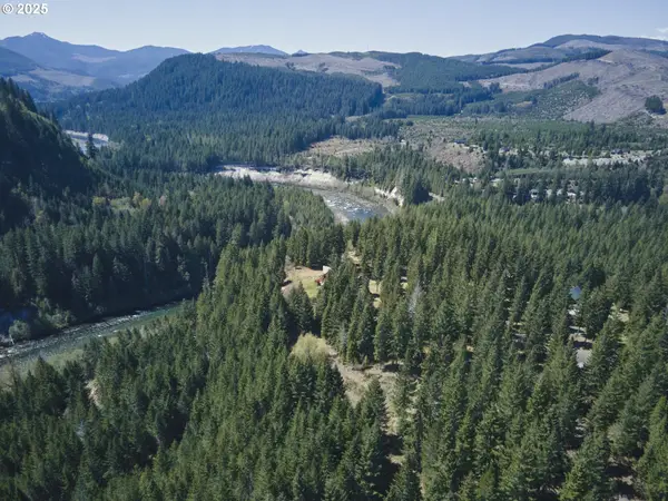 1 Loowit Ln, Cougar, WA 98616