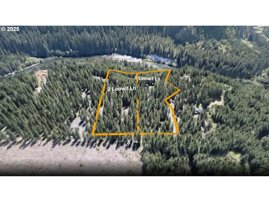 1 Loowit Ln, Cougar, WA 98616 - #2