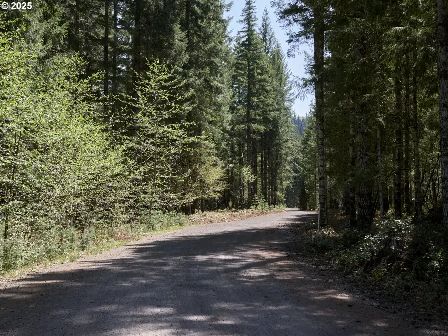 1 Loowit Ln, Cougar, WA 98616 - #3