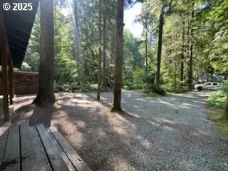 Cabin 62 Northwoods, Cougar, WA 98616 - Image #2