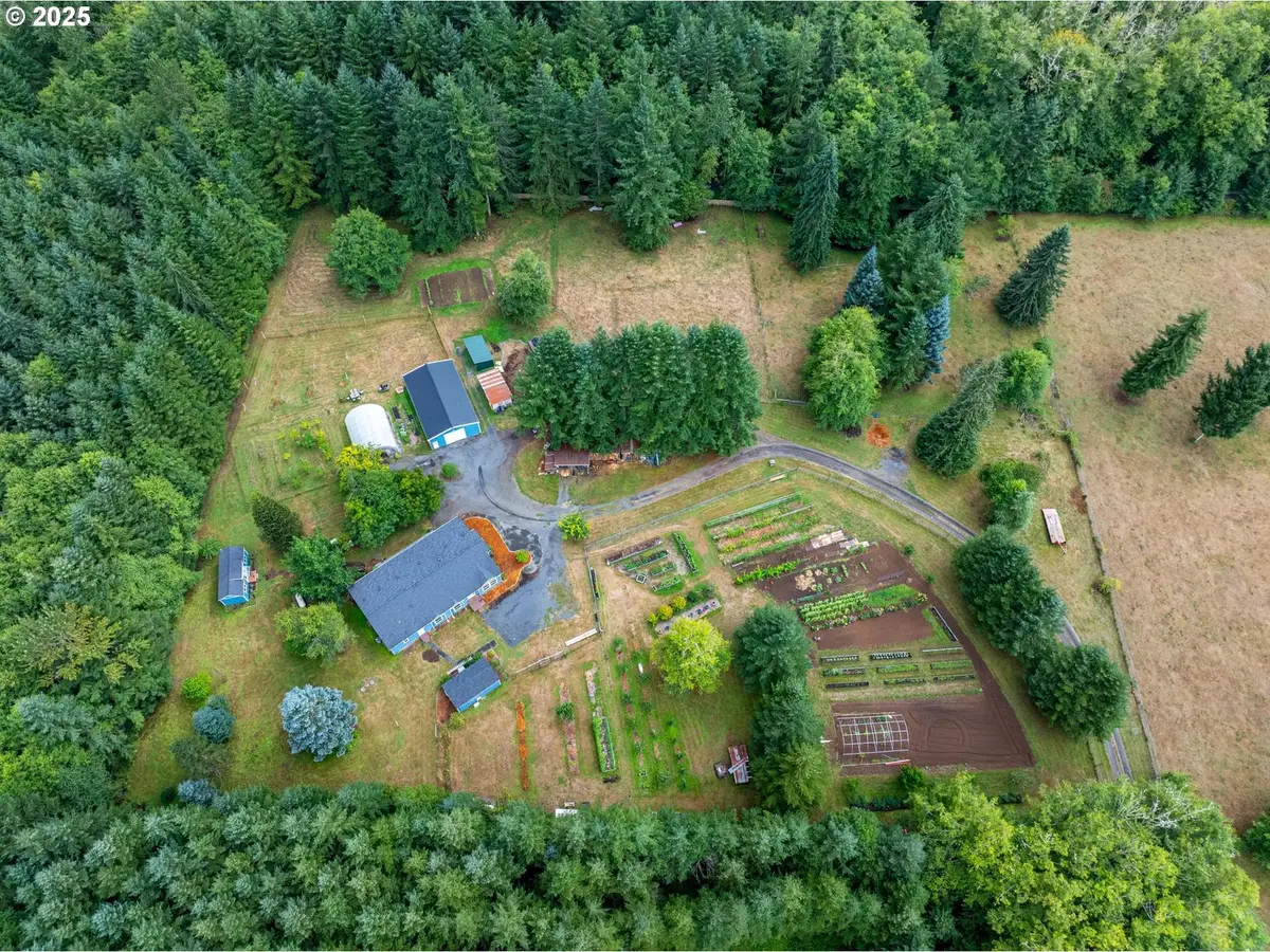 133 Lavender Ln, Cinebar, WA 98533 - Image #1