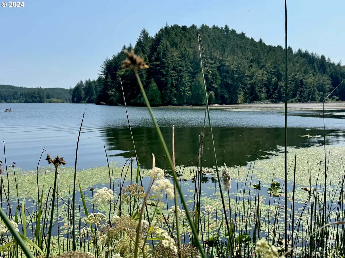 000 Tahkenitch Lake, Gardiner, OR 97441 - Image #1