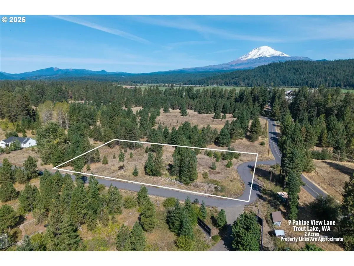 9 Pahtoe View Ln, Trout Lake, WA 98650 - #1