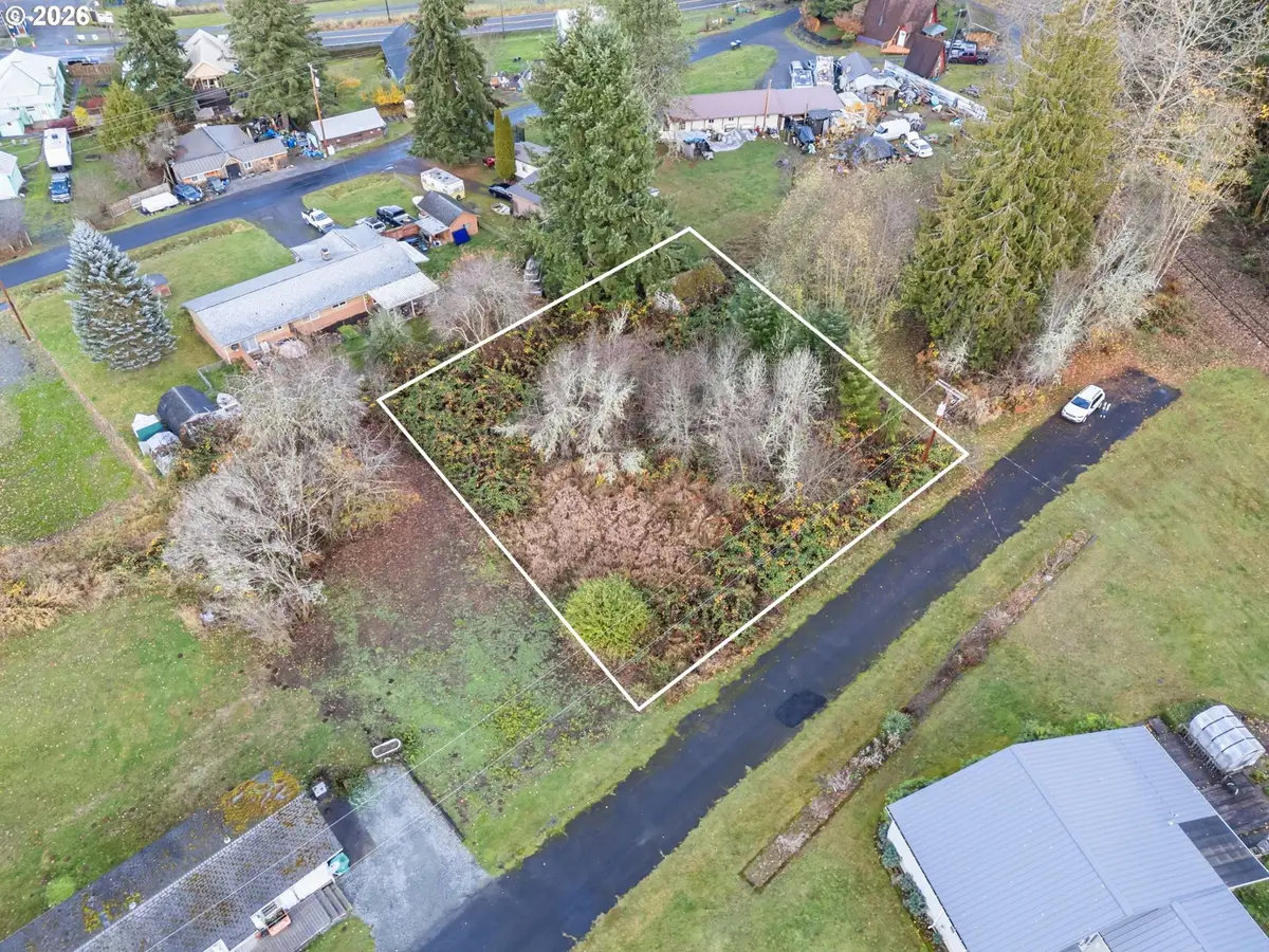 03 Roosevelt St, Mineral, WA 98355 - #1