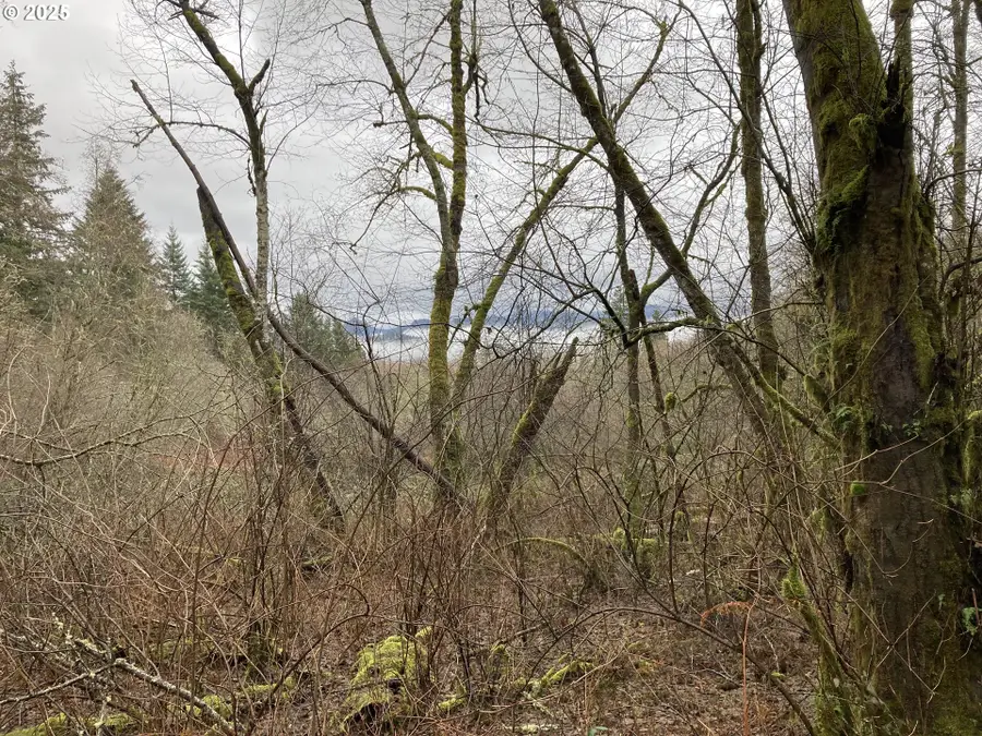 NE 197th Ct, Amboy, WA 98601 - Image #3