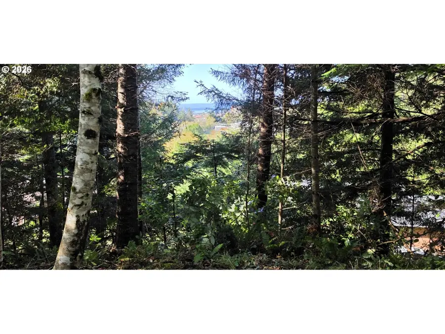 0 Daisy Ln (r20889) #6200, Gold Beach, OR 97444 - #3