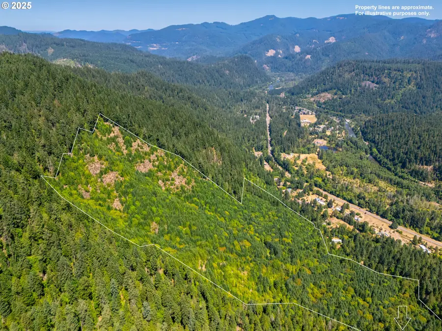 La Duke Rd #TL105, Westfir, OR 97492 - Image #3