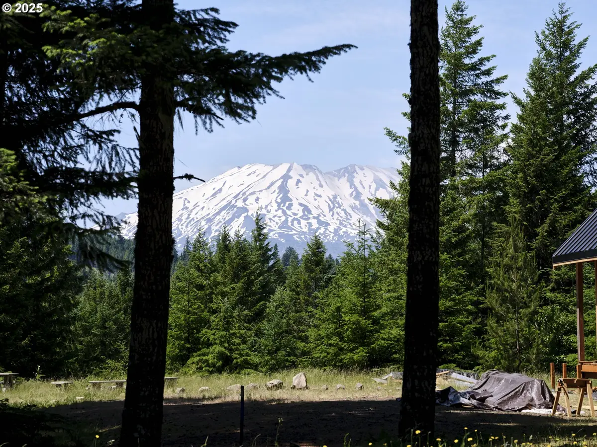 2 Phyllis Ann Block Ct, Cougar, WA 98616 - #1