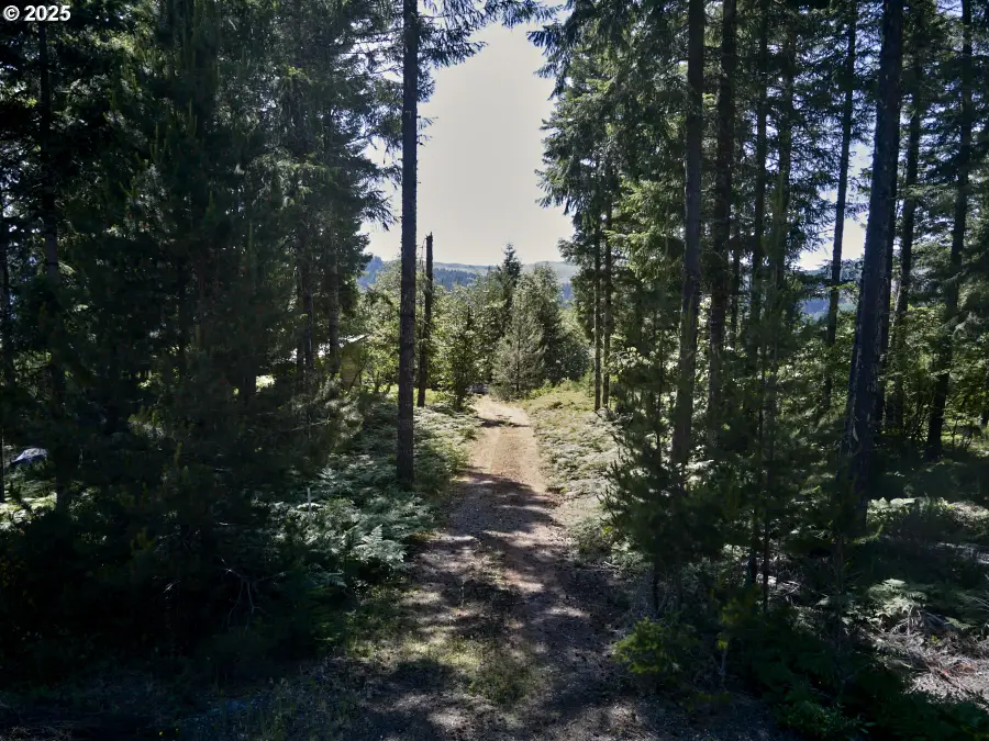 2 Phyllis Ann Block Ct, Cougar, WA 98616 - #2