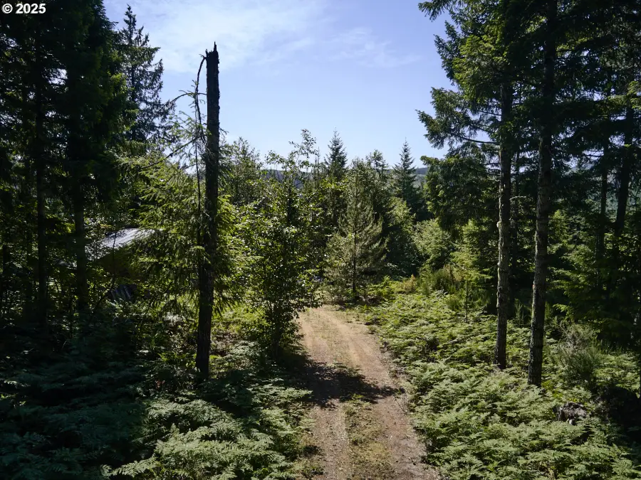 2 Phyllis Ann Block Ct, Cougar, WA 98616 - #3