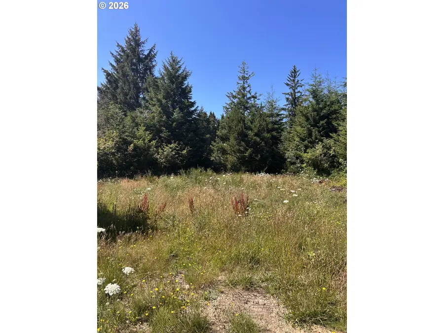 0 Hwy 101, Sixes, OR 97476 - #3