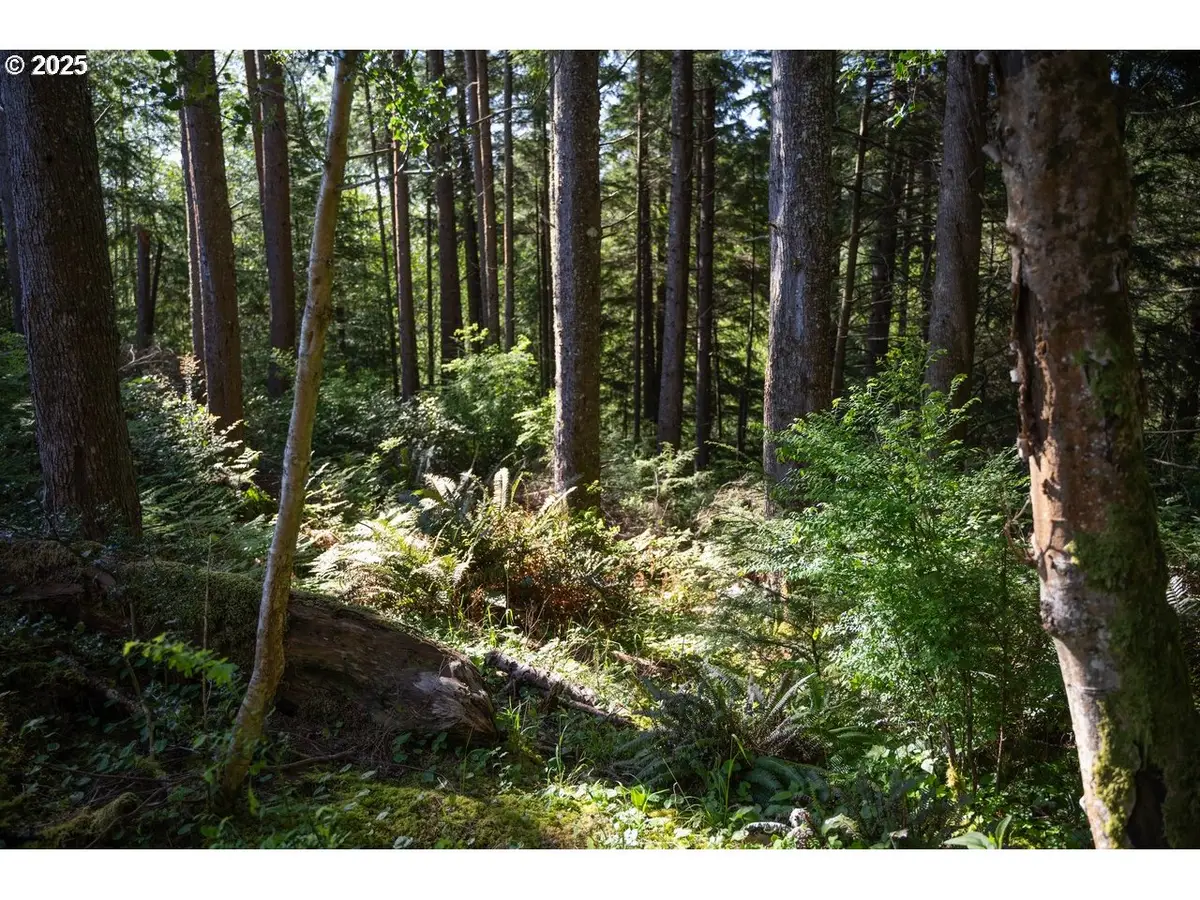 0 Eagle St, Ilwaco, WA 98624 - Image #1