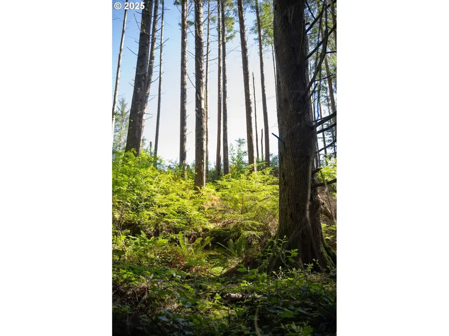 0 Eagle St, Ilwaco, WA 98624 - Image #3