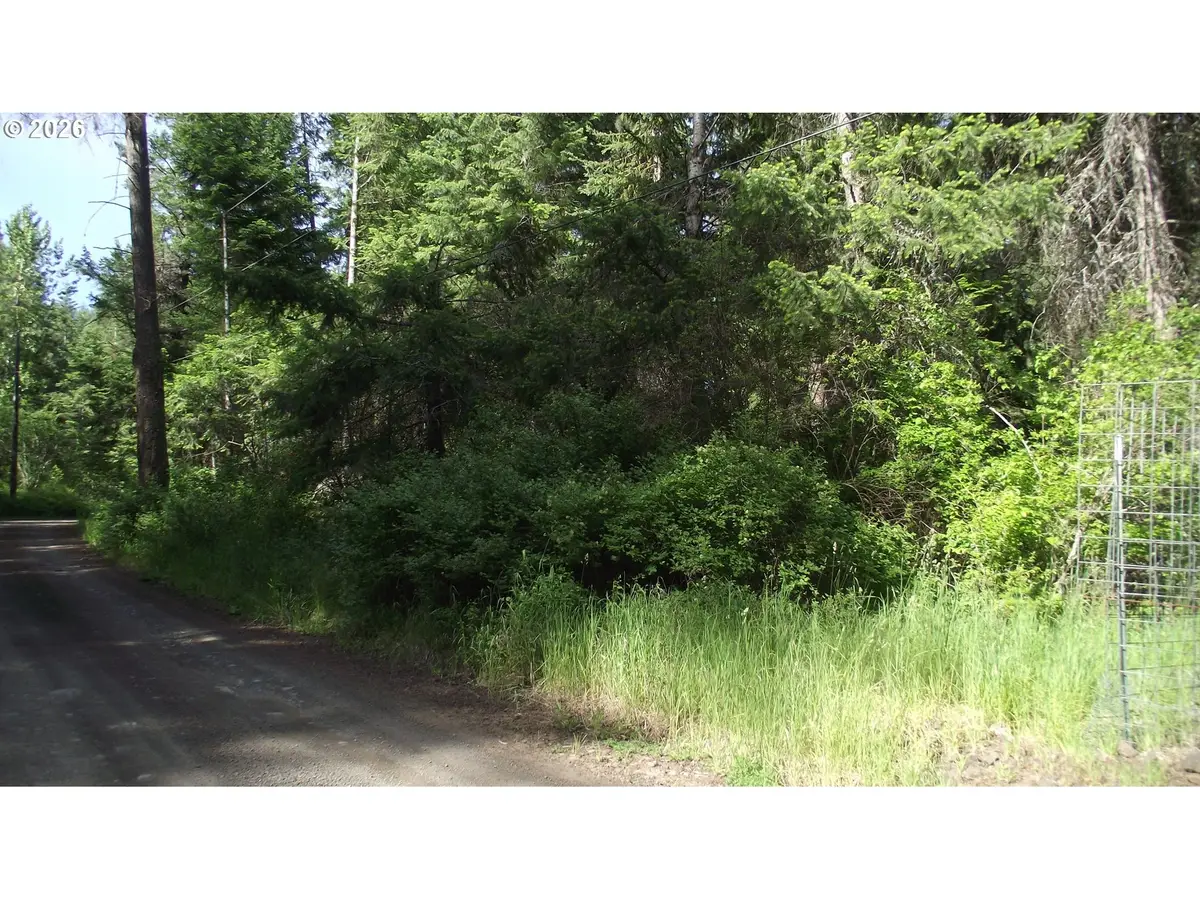 River Canyon Rd, Imnaha, OR 97842 - #1