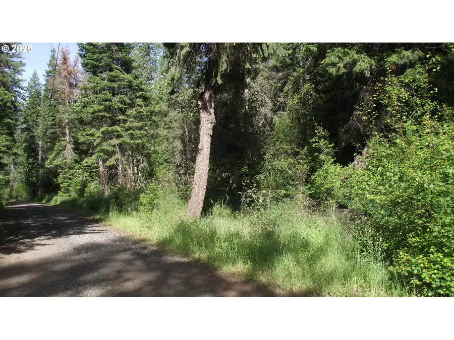 River Canyon Rd, Imnaha, OR 97842 - #3