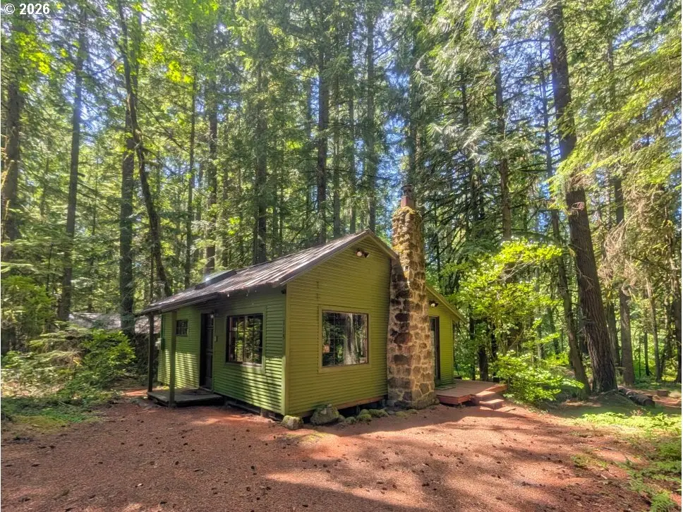78549 E Rd 35 Lot 115, Rhododendron, OR 97049 - #1