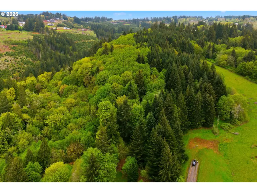 0 Green Mountain Rd, Kalama, WA 98625 - #3