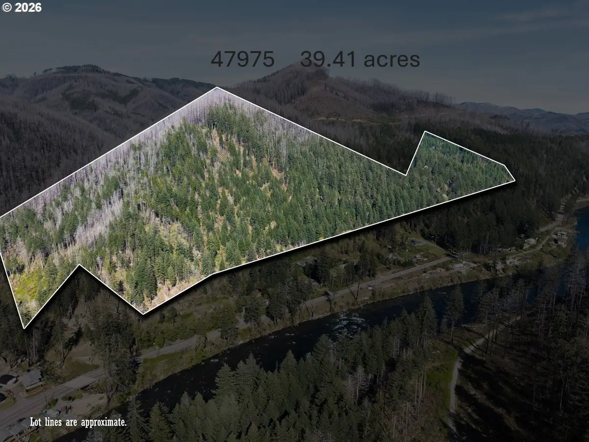 47975 87 Mckenzie Hwy, Vida, OR 97488 - #1