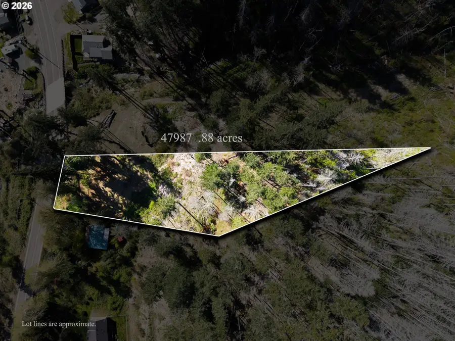 47975 87 Mckenzie Hwy, Vida, OR 97488 - #3