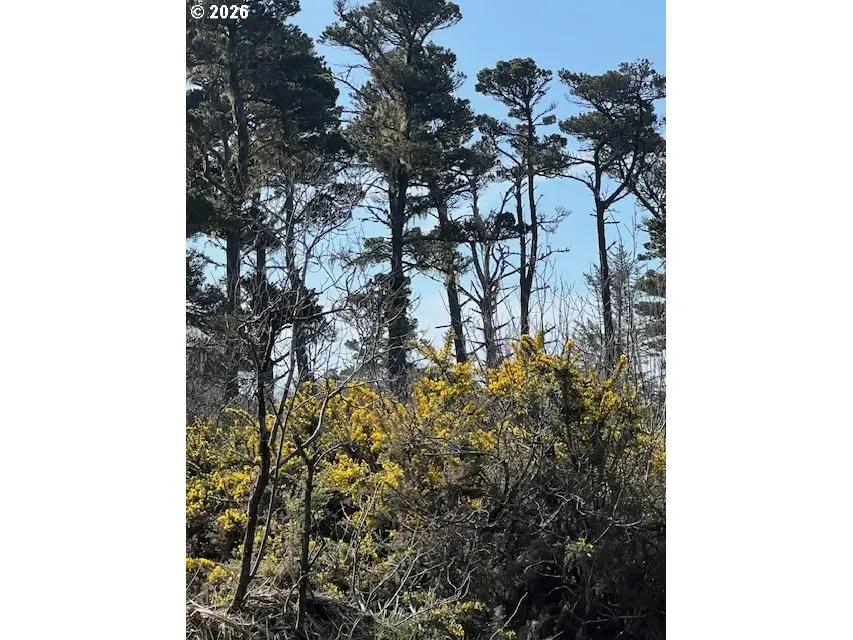 00 18th St Sw, Bandon, OR 97411 - #1