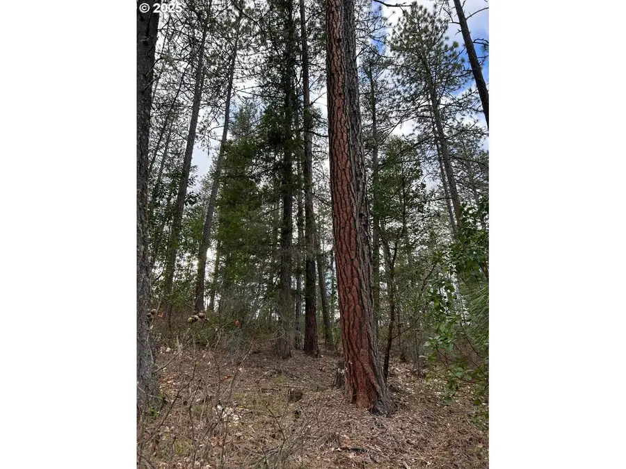 Greenleaf Dr, Eagle Point, OR 97524 - Image #2