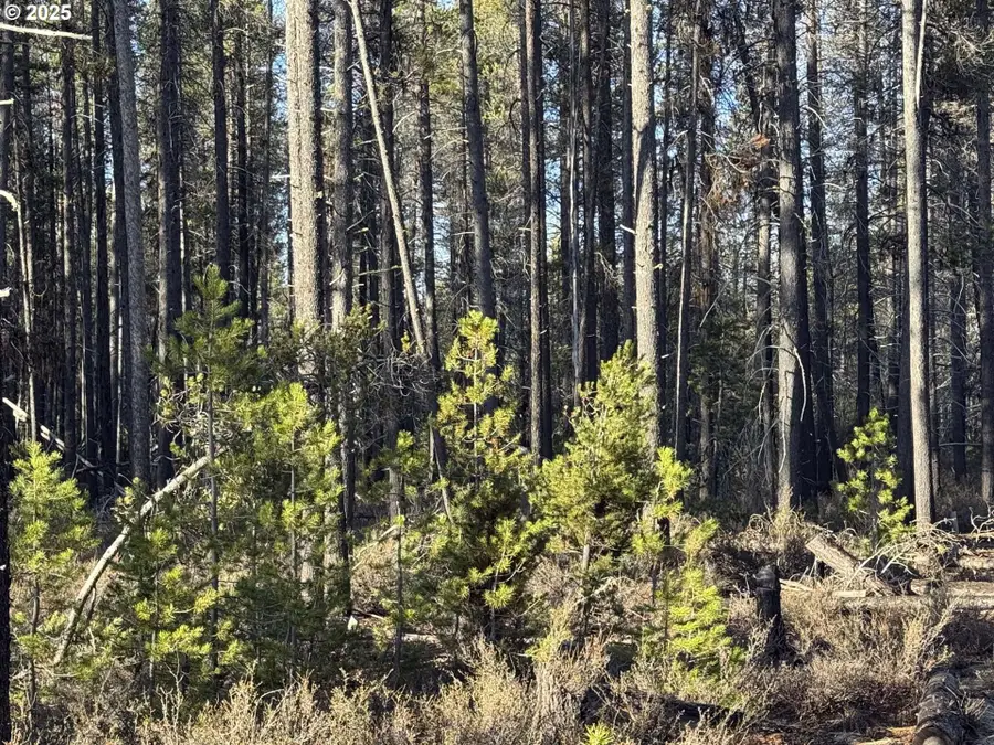 Artesian Dr #L-7, Chiloquin, OR 97624 - #3