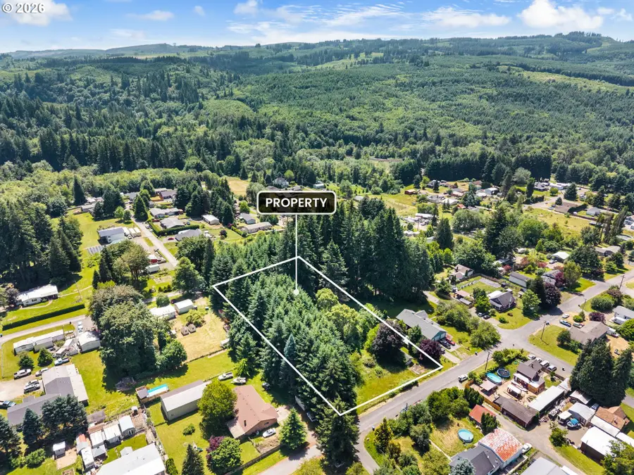 0 9th St, Vader, WA 98593 - #2