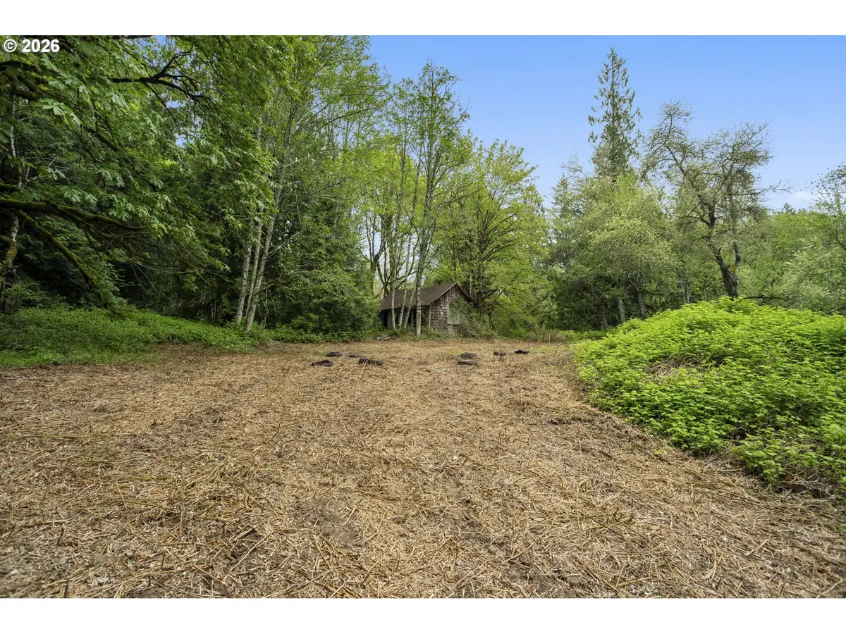 2 NE Lewisville Hwy #1, Yacolt, WA 98675 - #1