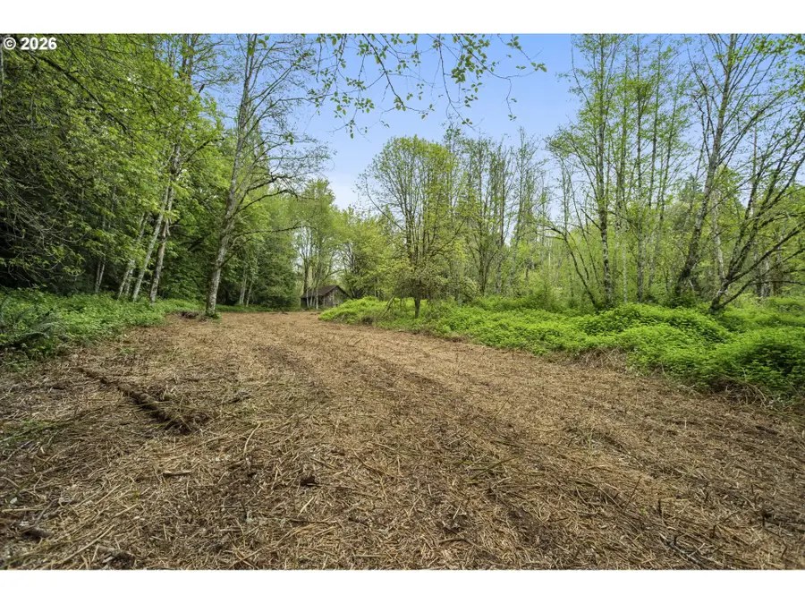 2 NE Lewisville Hwy #1, Yacolt, WA 98675 - #2