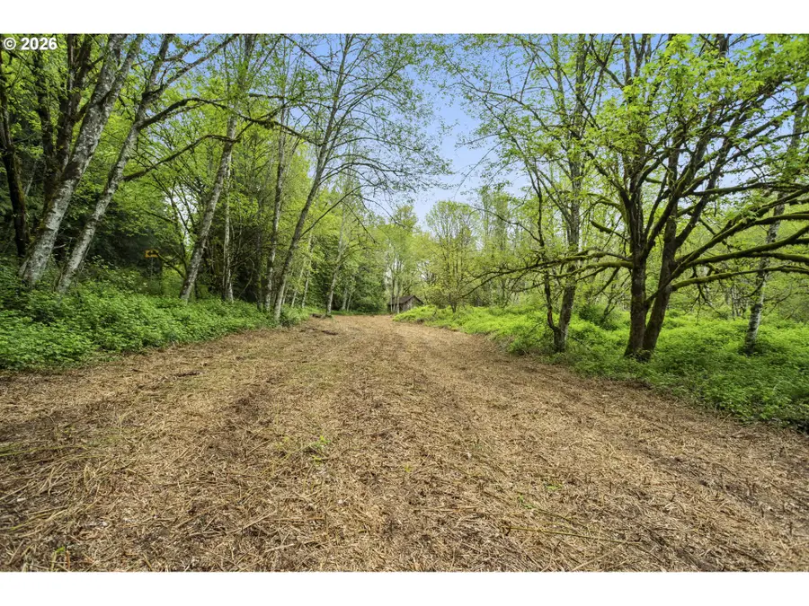 2 NE Lewisville Hwy #1, Yacolt, WA 98675 - #3