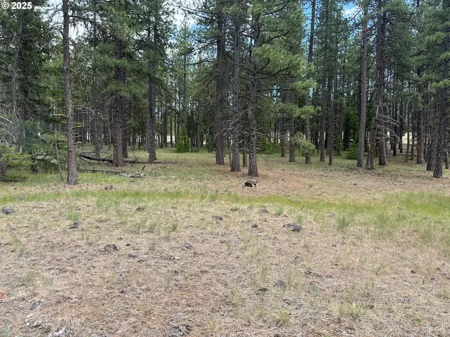 000 Pipeline Rd, Goldendale, WA 98620 - Image #3