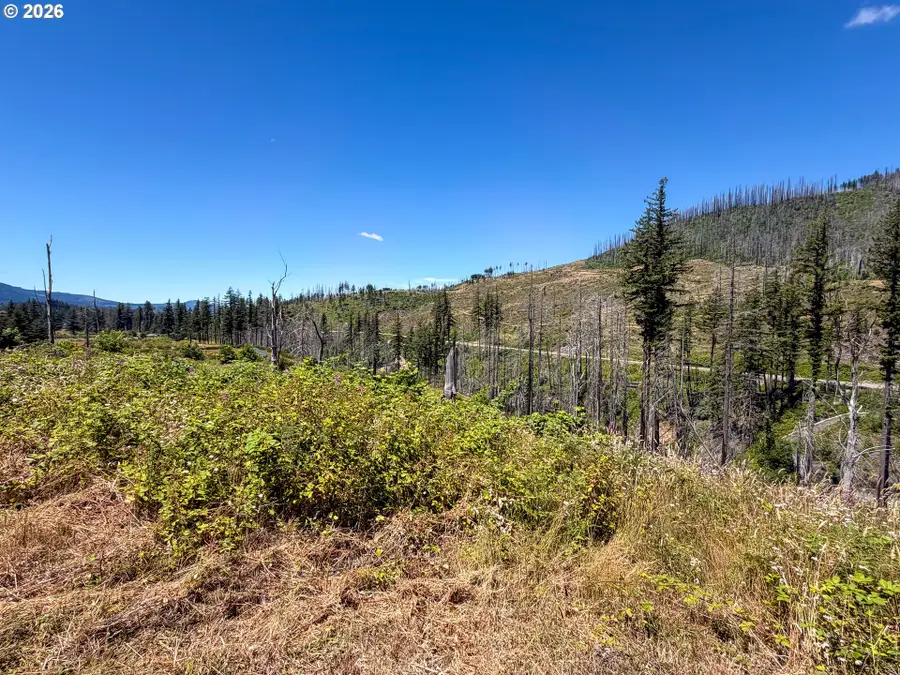 51789 Gates E, Gates, OR 97346 - #2