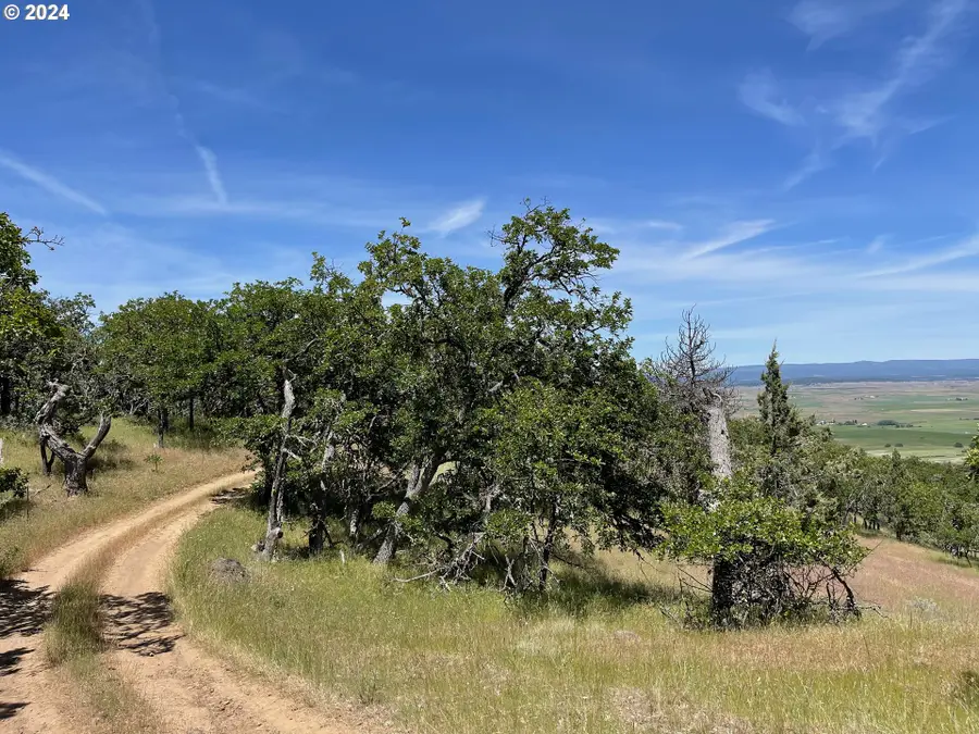 19 Columbia Hills Ln, Goldendale, WA 98620 - Image #3