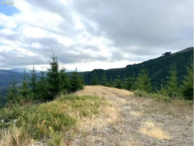 Northforkgalescreek, Timber, OR 97144 - #1