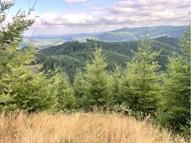 Northforkgalescreek, Timber, OR 97144 - #3