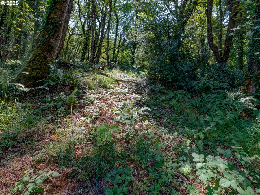 4899 Elva Ln, Eugene, OR 97405 - Image #3