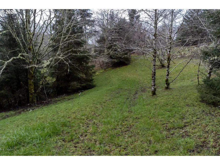 Aleolian Way, Neskowin, OR 97149 - #3