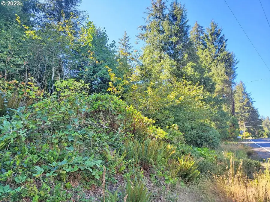 Miami Foley #TL 800, Nehalem, OR 97131 - #3