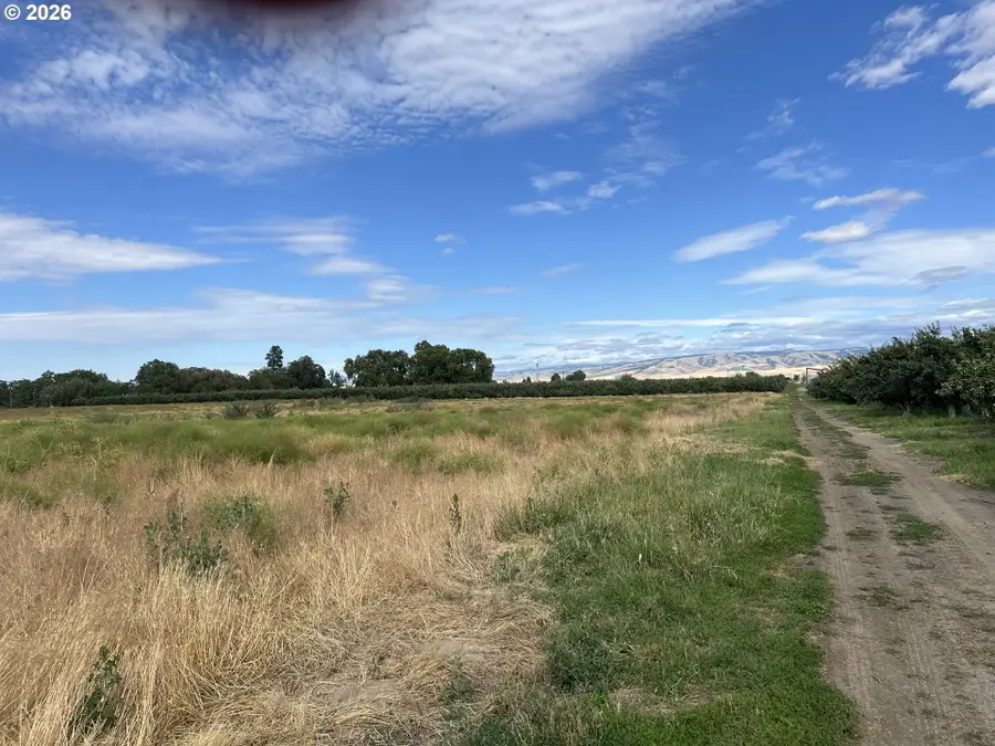 Triangle Rd, Milton Freewater, OR 97862 - #2