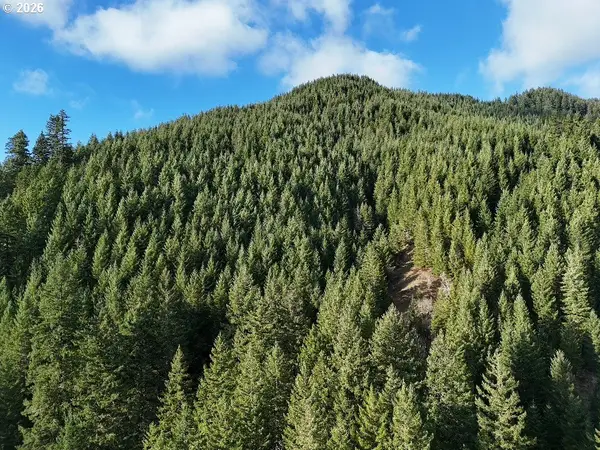 1951 Bear Creek Rd, Carson, WA 98610