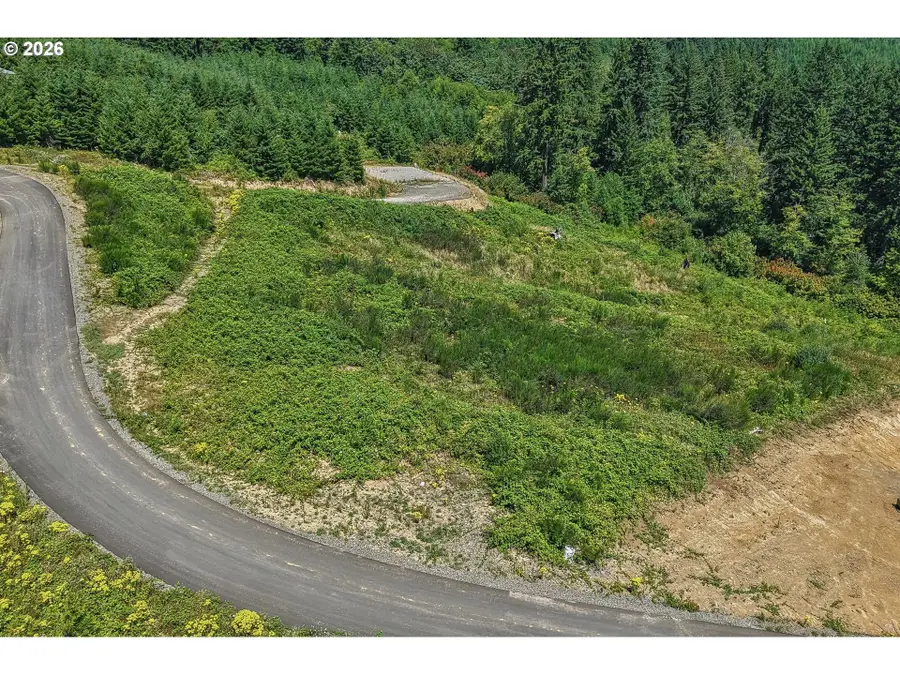 218 High Bank Ln, Woodland, WA 98674 - #3